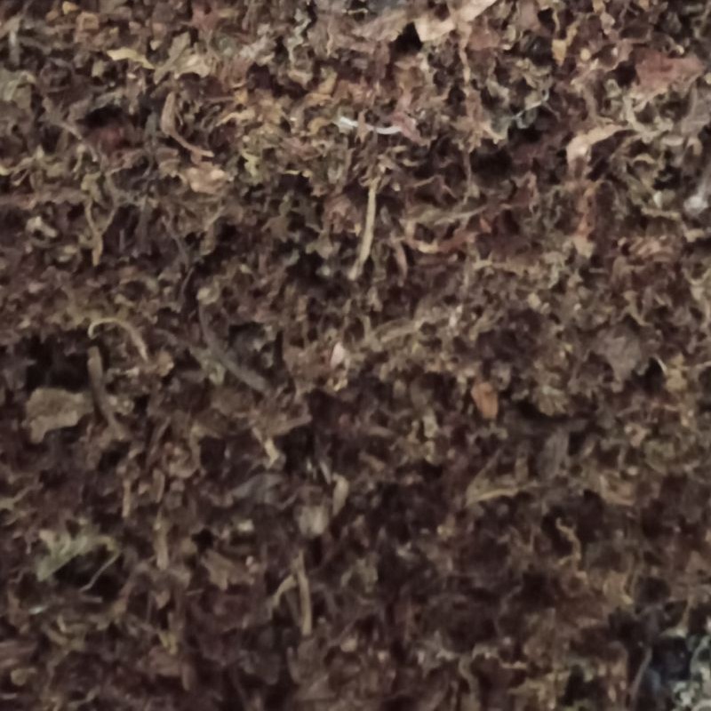 Rajangan Suli